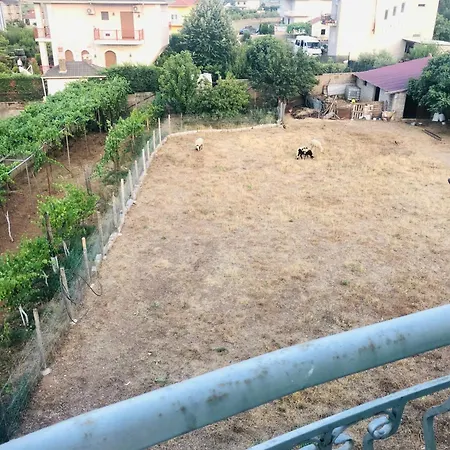 ヴィラ Orhan Lazarat